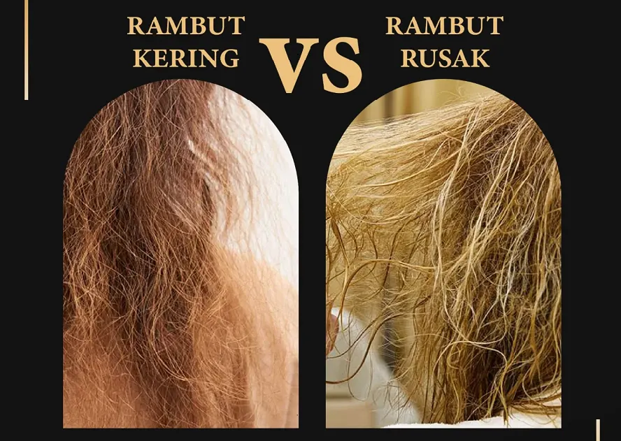 rambut rusak vs kering