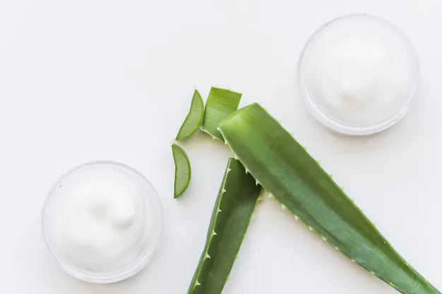 masker santan dan lidah buaya