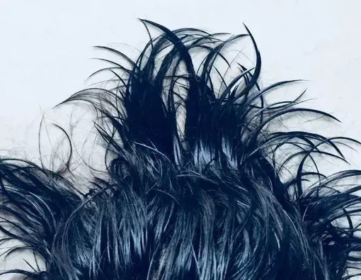 penyebab rambut berminyak