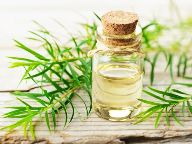 Kulit Kepala Berminyak Bikin Pusing? Kenali Penyebabnya dan Tips Ampuh Jaga Rambut Tetap Fresh